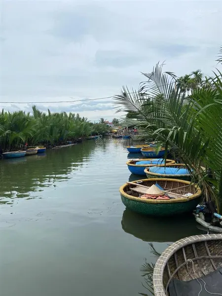 Chủ gởi bán lô đất khu rừng dừa 7 mẫu cẩm thanh, tp hội an, qn dt 171m2 giá 3,4 tỷ