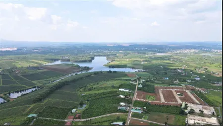 Chuyển nhượng đất sản xuất kinh doanh xây nhà xưởng