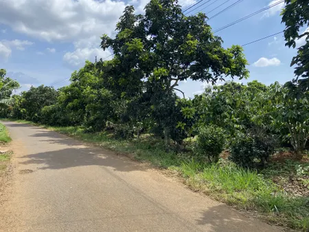 Bán đất 8300m² giá 12 tỷ Xã Bảo Lâm 2