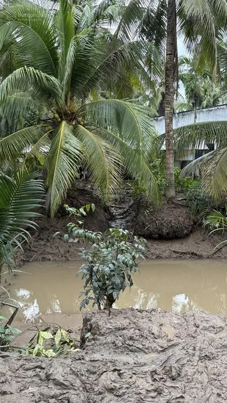 Bán đất công nghiệp 825m2 (15x55m) cách ql57 chỉ 500m đa phước hội, mỏ cày nam giá 2 tỷ 2