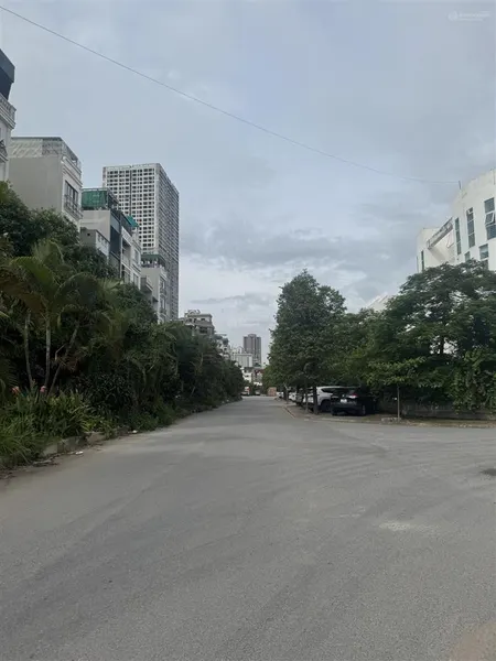 Đất phân lô vỉa hè, kinh doanh cái gì cũng ok, dt 50m2 mt 5m