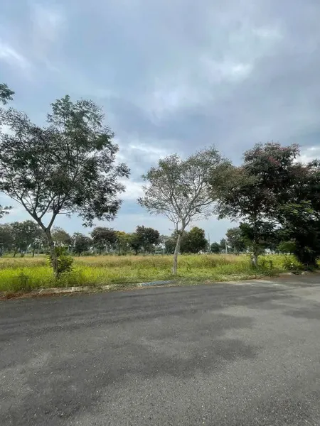 CHÍNH CHỦ BÁN ĐẤT Trung Tâm, P.4, TP. TÂN AN, 299M2, SHR, 2TỶ9
