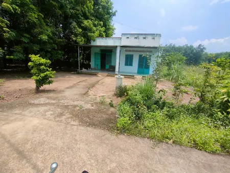 Bán nhà 815.2m² ngang 19m giá 1.9 tỷ Xã An Long