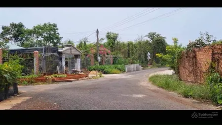 Bán 1 sào (100m2 tc) mt nhựa 790tr