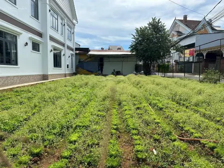 Bán nhanh lô đất 2 mặt tiền đường nguyễn hữu cầu phường 12 đà lạt