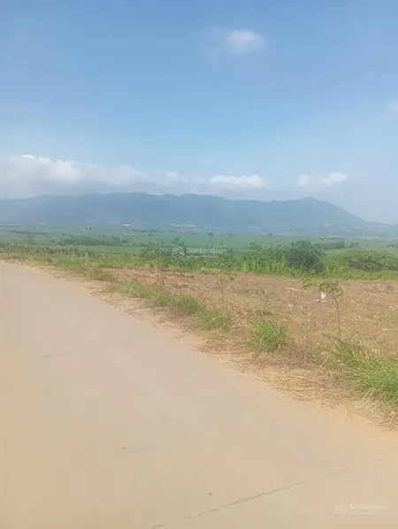 Cơ hội đầu tư 9,8ha đất rừng thôn xuân cam, xã xuân sơn, mt 125m, giá chỉ 85 tỷ, có sổ liền tay
