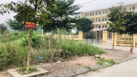 Bán đất 76.5m2, 2 mặt tiền đối diện trường thpt hùng vương, xã lạc đạo, văn lâm.
