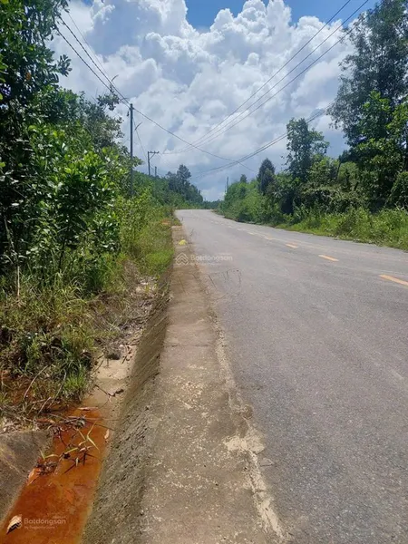 8,1 hec đất vườn madagui, cạnh cao tốc, 300m mt đường nhựa, giá 19,2 tỷ