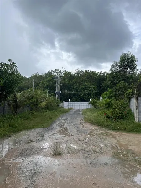 Chính chủ cần bán đất diện tích 3186, có kho 500 m2, nhà và phòng bếp 100 m2