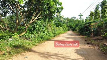 Đất 2mt dt 224m² ngang 7m giá 259 triệu Xã Đắk Phơi, H. Lăk