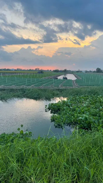 5,8 công đất nền, mặt tiền kênh giá 330tr/1000m2 gần biển Rạch Bùn, Tân Điền, GCĐ, TG