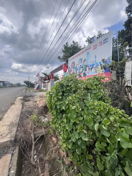 Bán đất 280m² ngang 7m giá 1.19 tỷ Xã Ea Kar