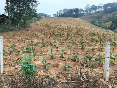Mảnh đất nghỉ dưỡng tại thôn ninh, khánh thượng, ba vì, hà nội. thế đất thoải, cách tl415 hơn 300m