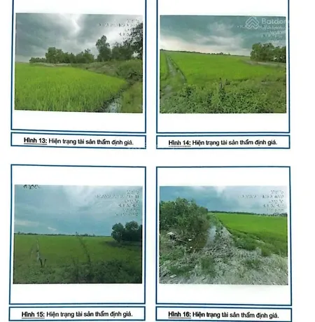 Bán 17.200m2 đất trồng cây hàng năm khác tại x. tân thành, mộc hóa, long an