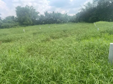 Đất xây trọ, rộng đường thông, xe tải, 9,6x45m (496m2), đất thổ cư, 2tỷ150, shr, hòa khánh đông