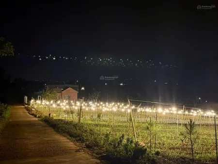Bán đất tại đông thanh, lâm hà, lâm đồng, 540 triệu, view đẹp, chính chủ sổ hồng riêng