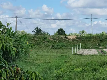 Bán đất nền 1900m2 tại đường nguyễn thị rành, xã trung lập hạ, củ chi, hồ chí minh, chỉ với 10,5 tỷ