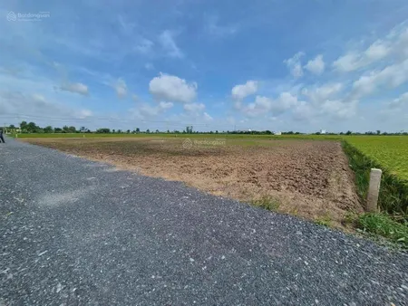 Bán đất tại đt 872b, bình tân, gò công tây, tiền giang, 390 triệu, 309.7 m2