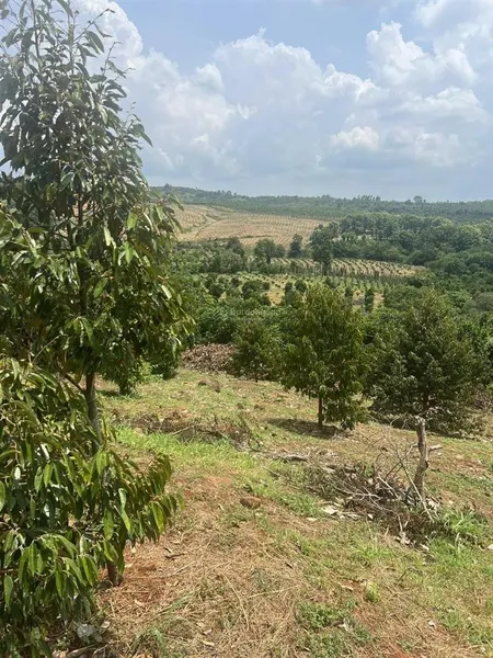 Bán hơn 1,6ha đất vườn tại xã đak mil, tỉnh lâm đồng, cách ql 14 gần 5km, giá tốt