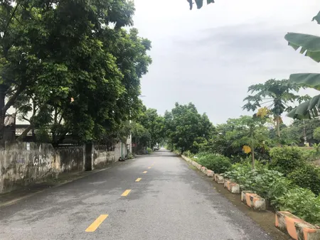 Bán đất an tảo, ô tô tránh xe máy, đường trải nhựa 4,2m, ngõ thông, dt 91m2, giá 2,8 tỷ