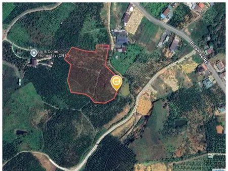Bán đất 18000m² giá 4.5 tỷ Phường 3 Bảo Lộc
