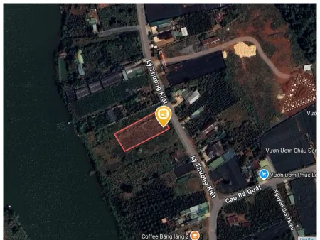 Bán đất 3200m² ngang 24m giá 25 tỷ Phường 1 Bảo Lộc