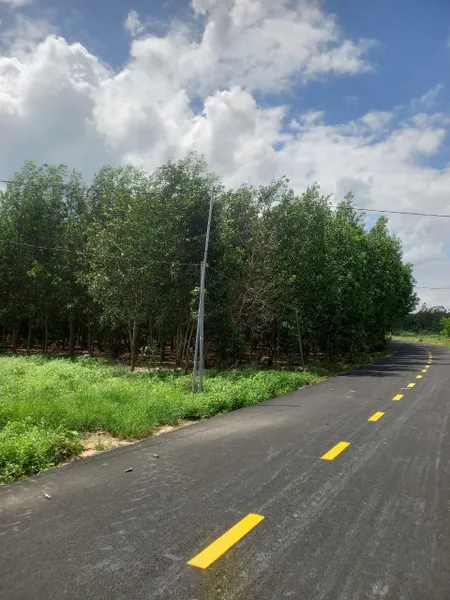 Bán đất 15946.8m² ngang 100m giá 21tỷ527 Xã Hồ Tràm xuyên mộc