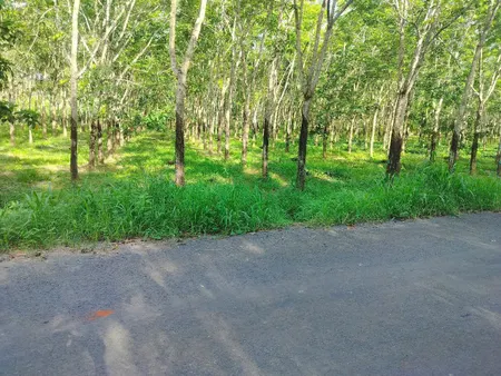 Bán đất 19686,8m² ngang 200m giá 15 tỷ Xã Hồ Tràm Xuyên mộc