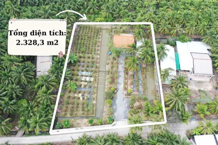 Chính chủ cần bán đất vườn mặt tiền đường 3m, có thổ cư