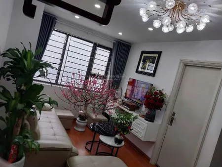Bán căn hộ 2pn, 2wc tại đồng phát park view tower, 4,35 tỷ, 62m2, giá tốt