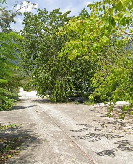 Bán lô đất 2 mặt tiền, đường ô tô 6m, cách đường chính thái khang chỉ 200m giá rẻ chỉ 950tr