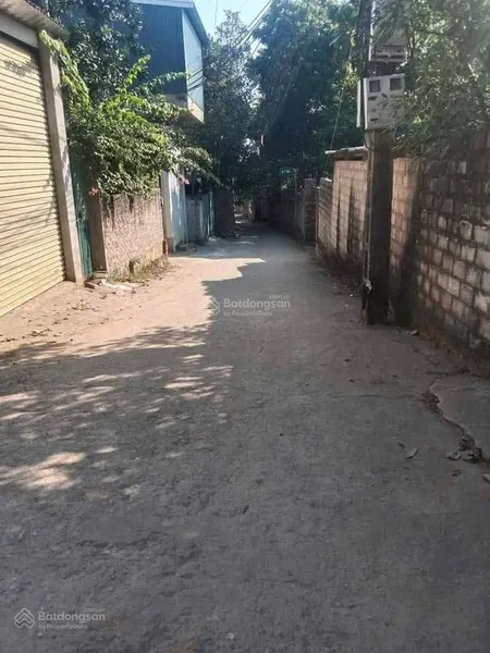 Đất nền trong dãy liền kề đồi hoạ sỹ