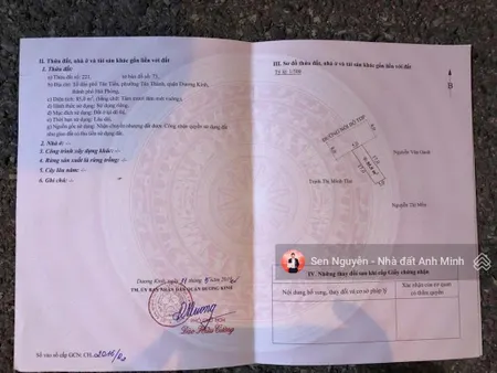 Nhánh 2 bùi phổ, tân thành, siêu đẹp