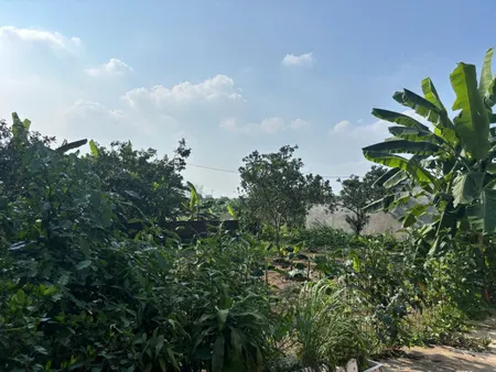 Bán Đất tại Ngõ 112 Hạ Trại, 235.4m2, sổ đỏ đầy đủ. Bán thêm 160m đất vườn, viết tay liền kề 30tr/m2 cho ai có nhu cầu