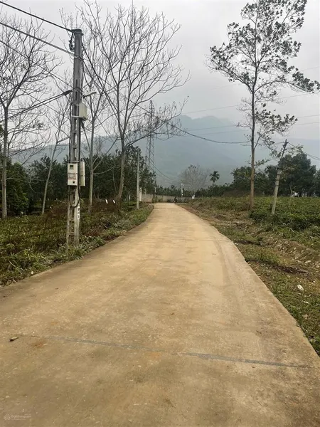 Siêu phẩm giá rẻ đất ba trại, ba vì có 150m2 đất ở diện tích cực rộng 2011m2