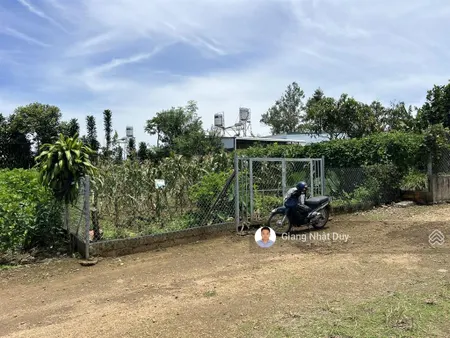 Bán đất bạch đằng, lộc châu, bảo lộc, lâm đồng, 1,35 tỷ, 280m2, giá ưu đãi