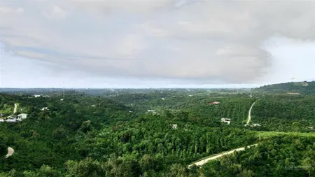 1,6 hecta đất vườn thổ cư, 300m đường bao quanh đất view đẹp