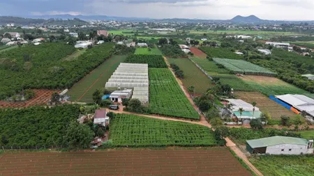 Đất chính chủ gần sân bay liên khương 670 triệu 103m² sẵn thổ cư bình thạnh đức trọng ( cũ)