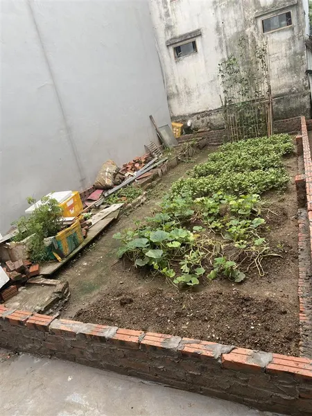 Tài chính nhỏ sở hữu mảnh đất tiềm năng tại võng la đông anh hà nội