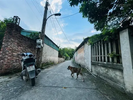 Hiếm 50.5m2 full thổ cư cách trục chính 10m ô tô lùi đất quốc lộ 6 900m, giá 1.29tỷ 0968 507 ***