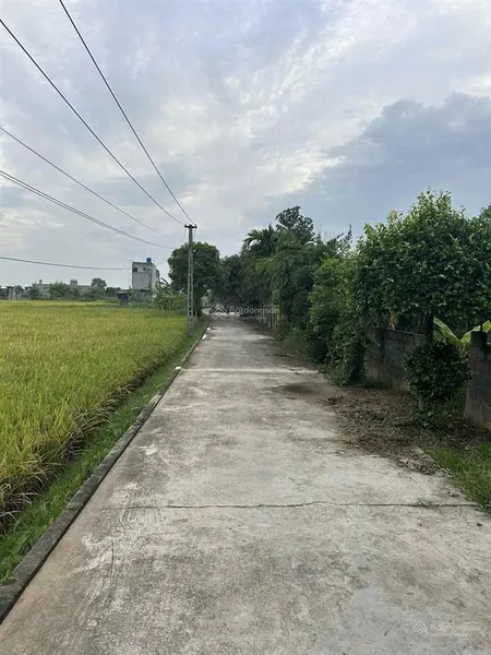 Bán lô đất rộng 1000m2 thích hợp xây biệt thự nhà vườn giá chỉ nhỉnh 1tỷ tại thanh tân kiến xương