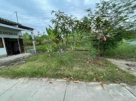 Bán đất