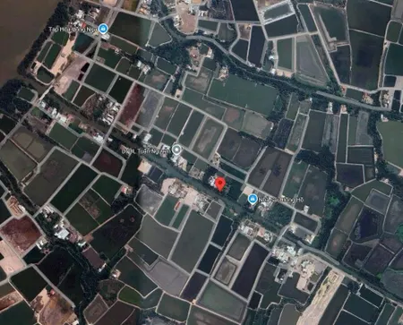 Bán đất 1900m² giá 1.9 tỷ Xã An Thới Đông