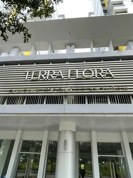 Ch terra flora từ 5989 m2 sổ hồng công chứng tt 100% được cđt ck lên tới 20%. cđt 0908 023 ***