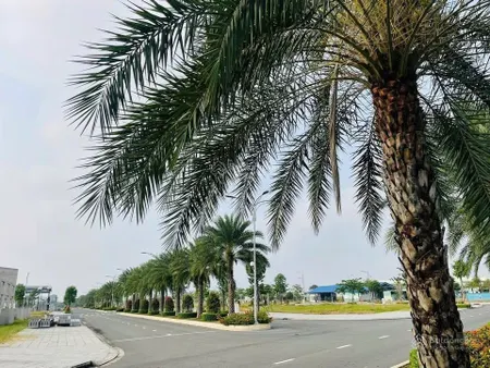 Giảm ngay 300 triệu! Khu đô thị nằm ngay SB Long Thành-Giá chỉ 900 triệu-Có sổ hồng sẵn