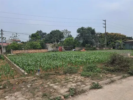 Đất nền tại nam phương tiến, hà nội hơn 2 tỷ cơ hội đầu tư hấp dẫn cho mảnh đất tiềm năng