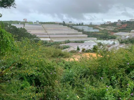 Thua lỗ chứng khoán bán sạch lô đất đường cam ly, phường 7, tp đà lạt, 3061.8m2, giá hời