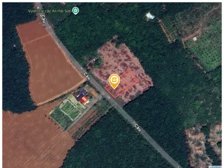 Bán đất 306,7m² ngang 5m giá 460 triệu Xã Tân Hưng Chính Chủ Bán LH: 0901.370.396