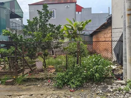 Đất bắc hồng (đông anh), phúc thịnh, 46m2, mt 4.5m, 2.75 tỷ, ô tô