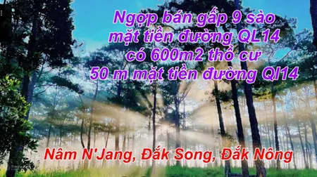 Bán 6 lô đất 9.000m2, đã tách ra 6 sổ, 600m2 thổ cư mặt tiền đường ql14, dak song dak nông